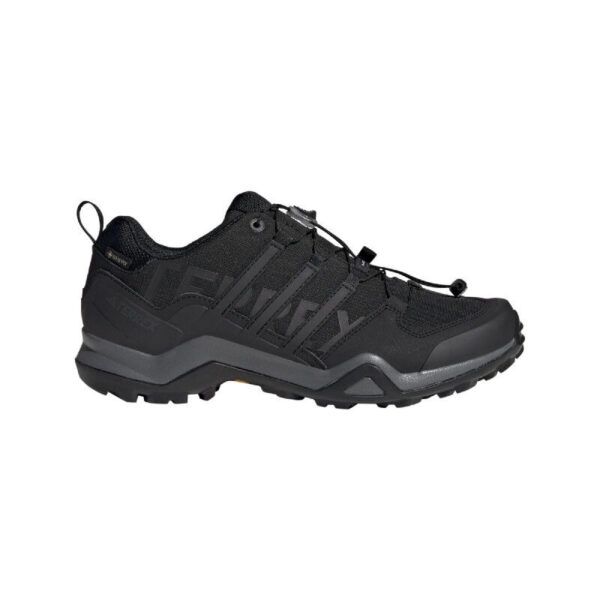 Terrex Swift R2 GTX - Walking shoes - Men's