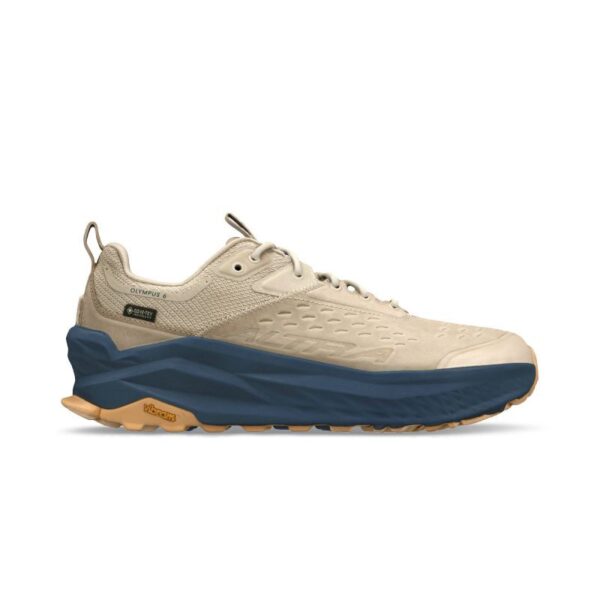 Olympus 6 Hike Low GTX - Walking shoes - Men's