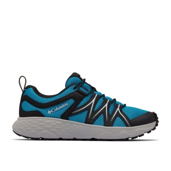 Peakfreak Roam - Walking shoes - Men's